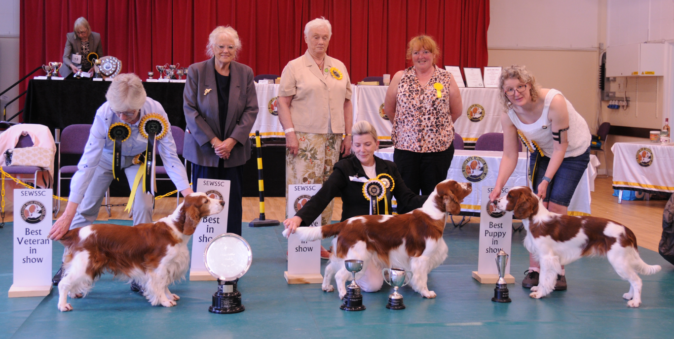 January Open Show 2024